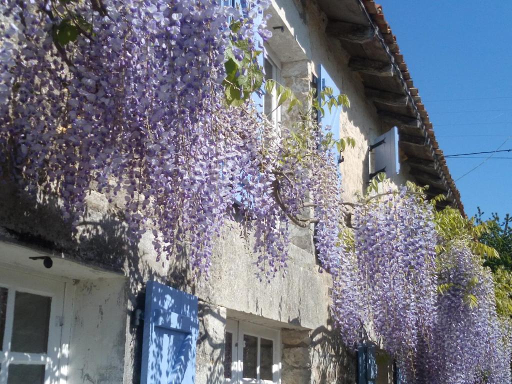 Chat Noir Gite et Chambre D'Hotes photo 1