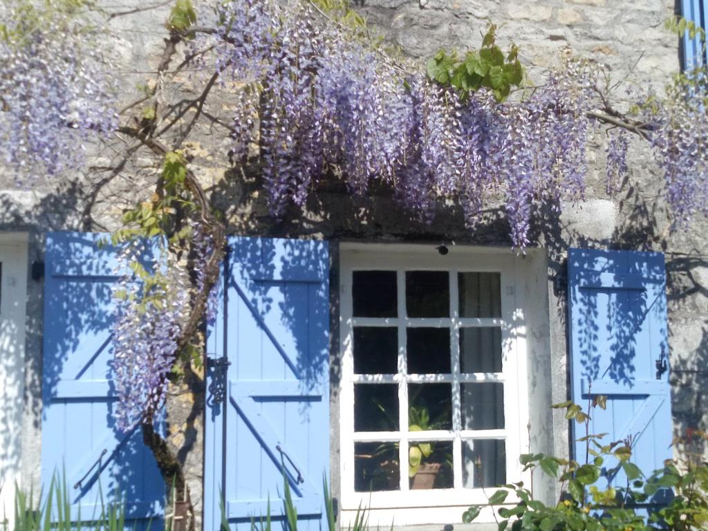 Chat Noir Gite et Chambre D'Hotes photo 2