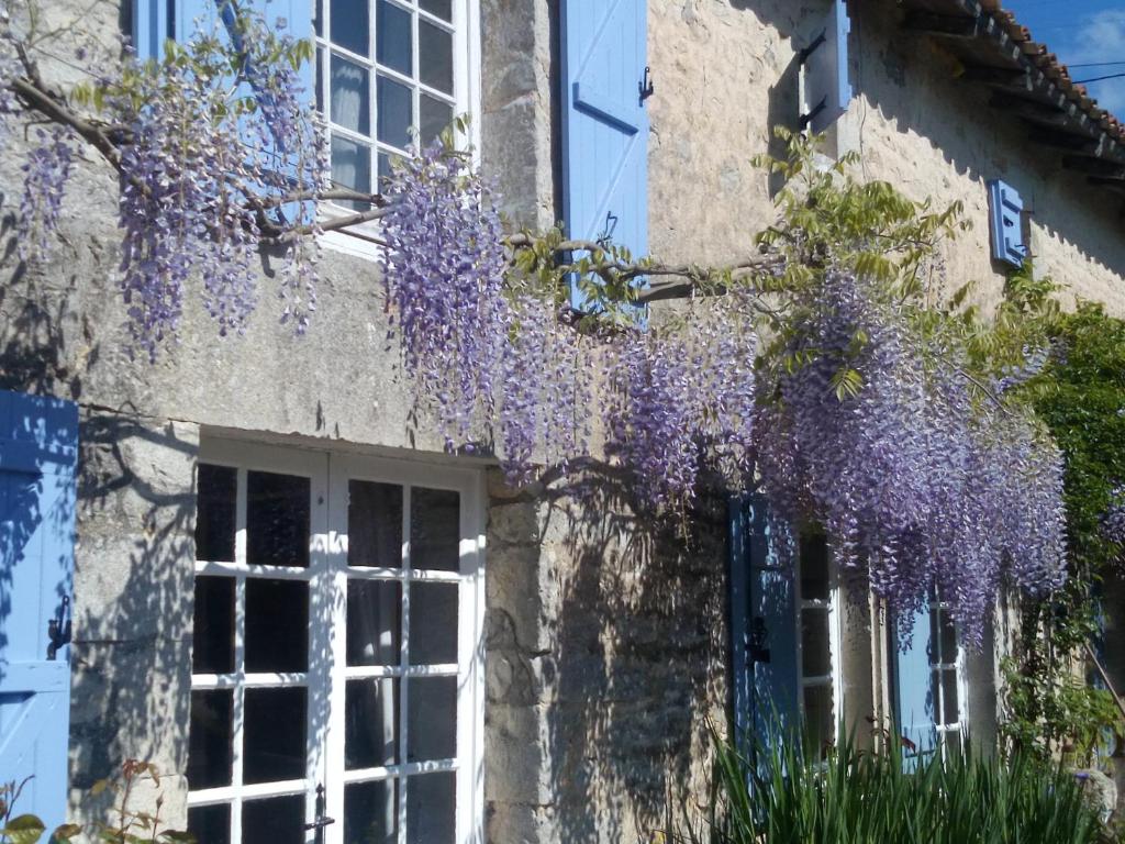 Chat Noir Gite et Chambre D'Hotes photo 3