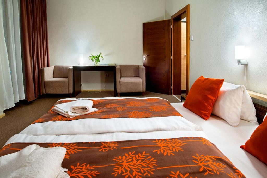 Двухместный (Двухместный номер Делюкс с 1 кроватью), Hotel Bystricka