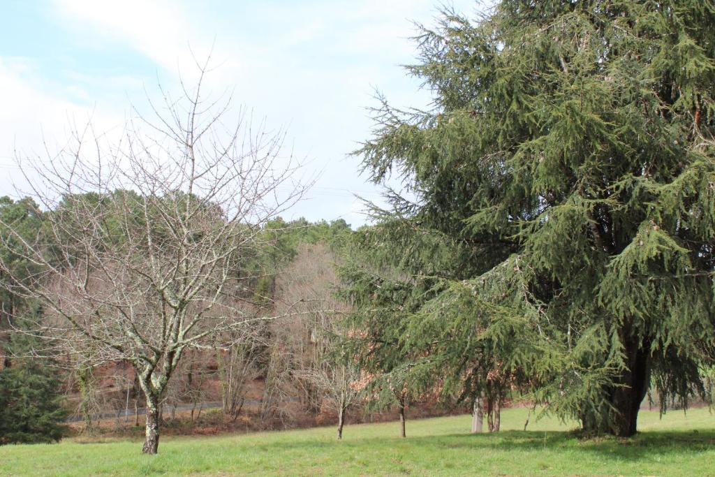 Gite Le Refuge des Ecureuils photo 3