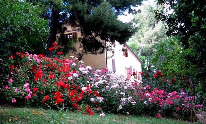 Agriturismo La Casa della Lavanda - Il Casale photo 2