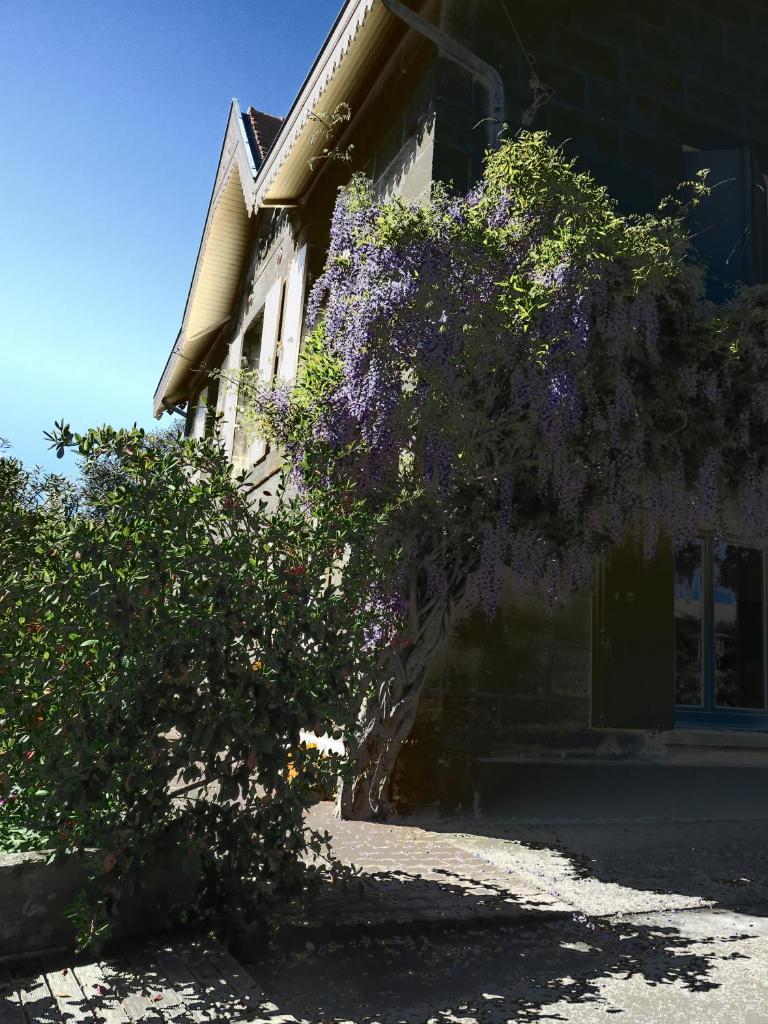 Domaine de Monein photo 2