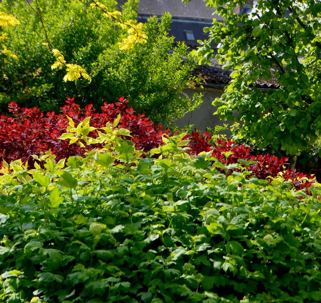 Chambre d'hôtes El Vigot Plaza photo 2