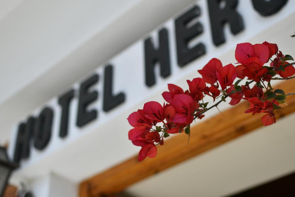 Hotel Hercules photo 3