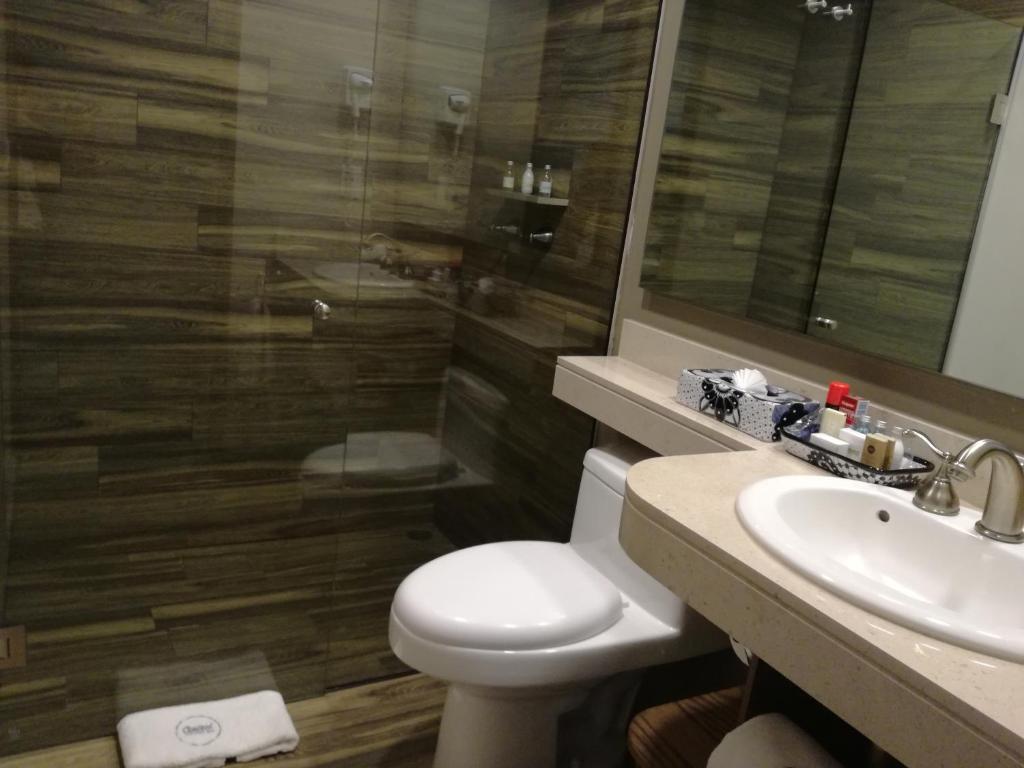 Двухместный (Двухместный номер с 1 кроватью и балконом), Hotel Histórico Central