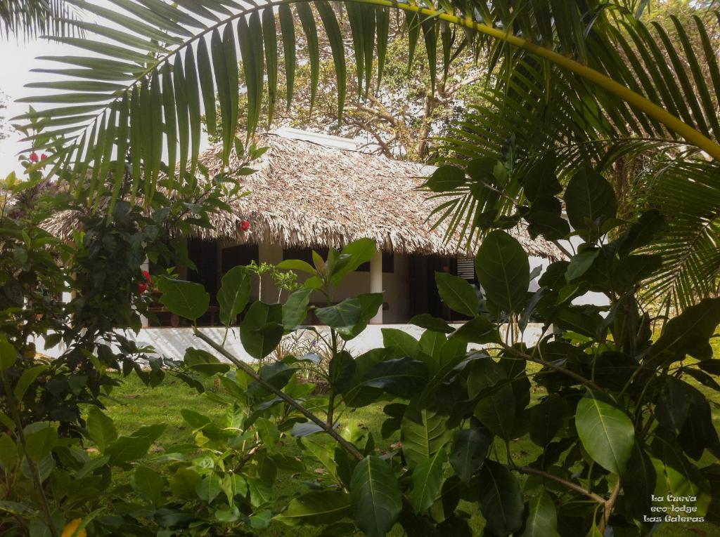 La Cueva Eco-Lodge photo 3