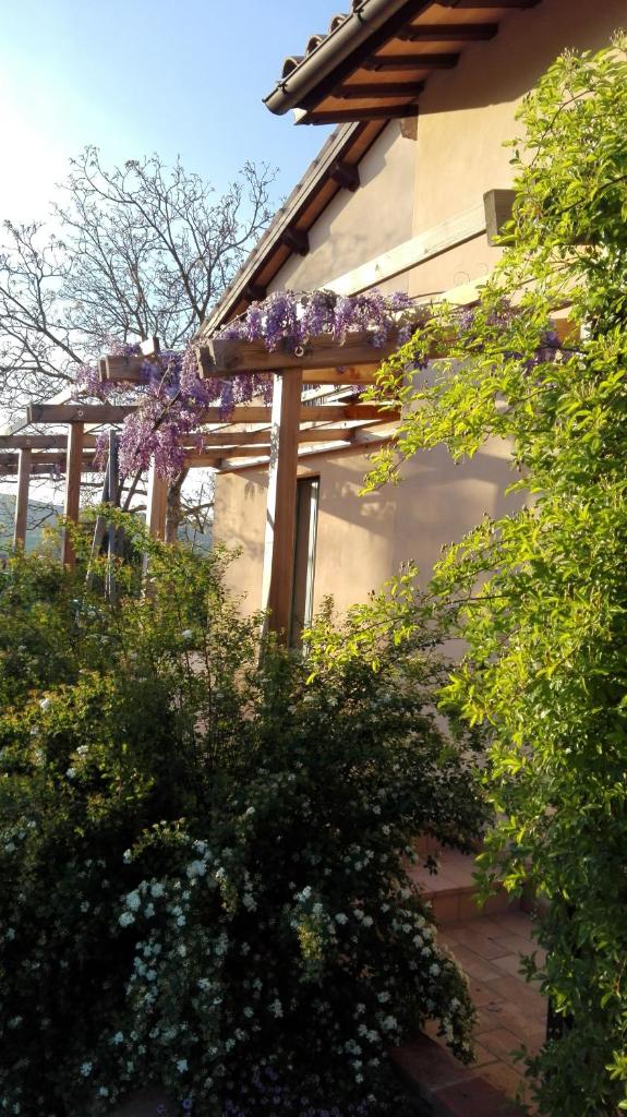 B&B Antegiano photo 4
