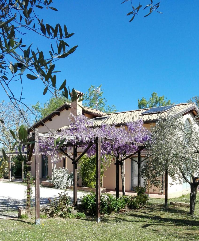 B&B Antegiano photo 1