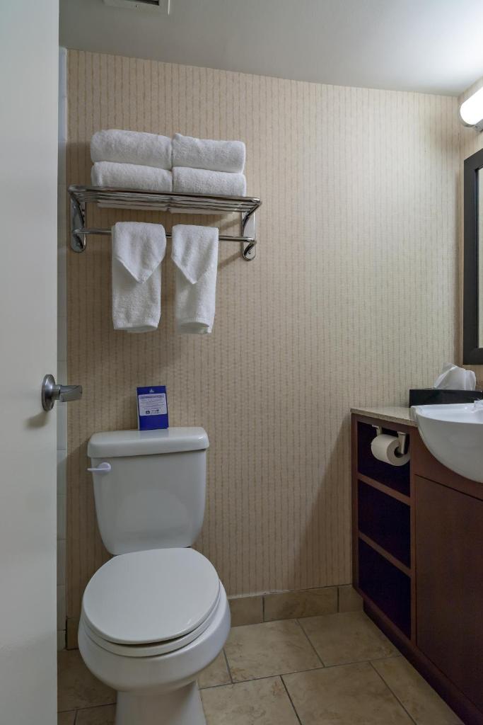 Best Western Plus Suites Downtown Room Type - King Room with Sofa Bed