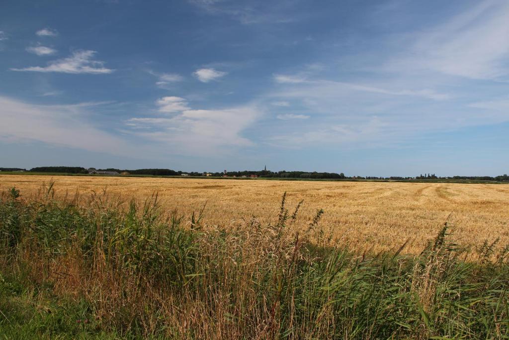 De Horizon, slapen in hutten photo 2
