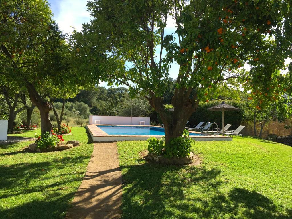 Ventorro del Herrero - The Old Forge photo 2