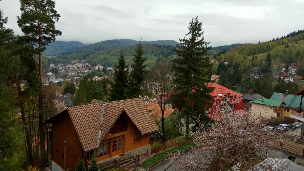 Сьюит (Люкс с видом на горы и город), Casa Adina