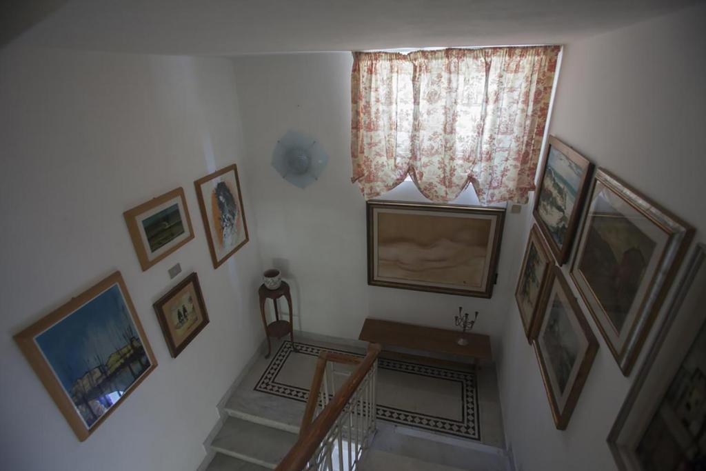 Villa Daura photo 1
