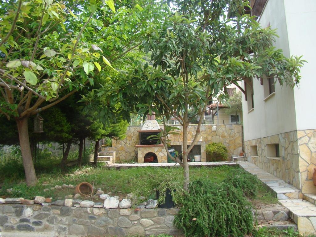 Papaioannou - Gomati Chalkidikis photo 1