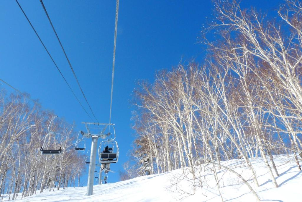 Shin Furano Prince Hotel photo 2