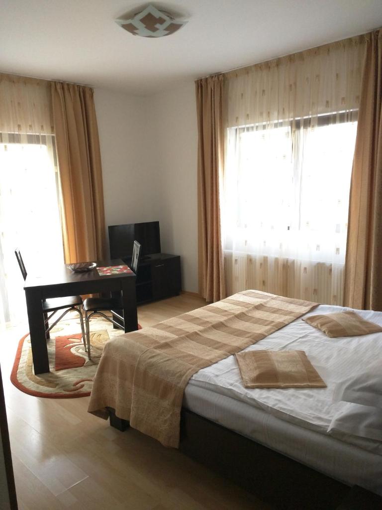 Студио (Номер-студио), Hotel Silvia Apart Sinaia