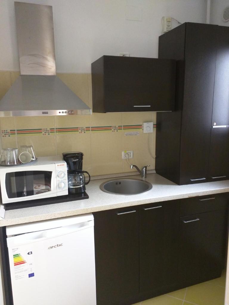 Студио (Номер-студио), Hotel Silvia Apart Sinaia