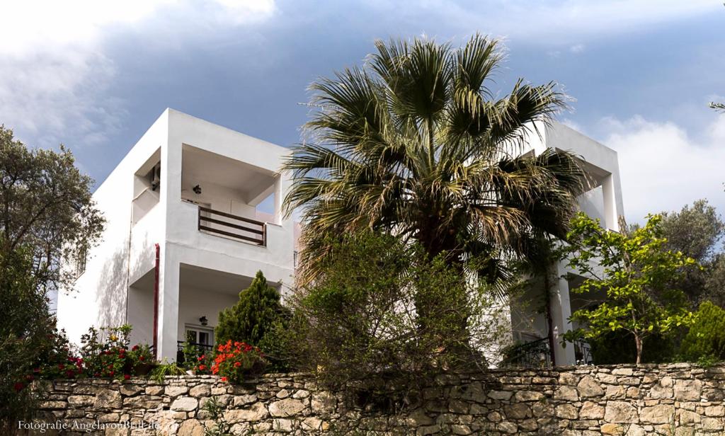 Korfes Apartments photo 4
