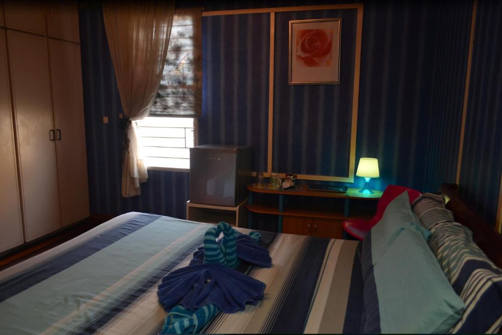 Villa Viva Belgica photo 3