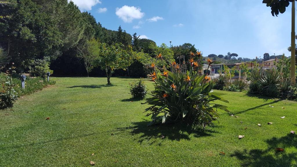 Agriturismo Rebua photo 4