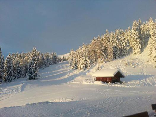Gasthaus Furlhütte photo 2