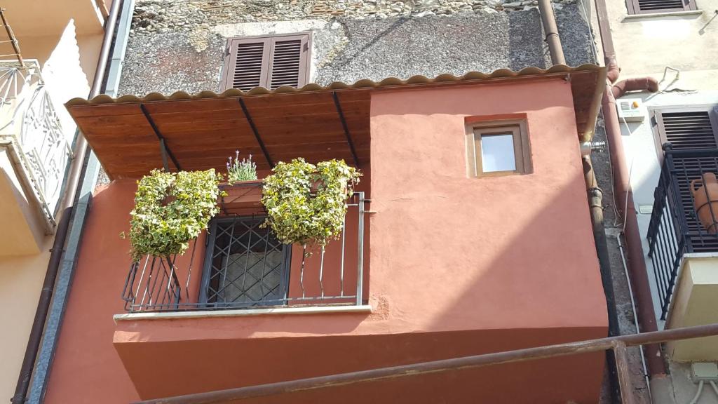 La Tana Cerdomare