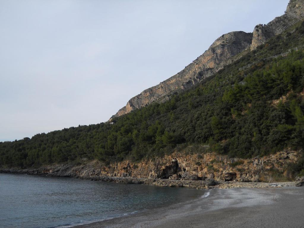 TreMetriSopraAlMare photo 3