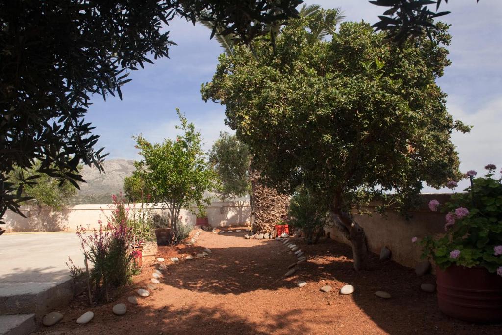 Villa Xenia photo 2