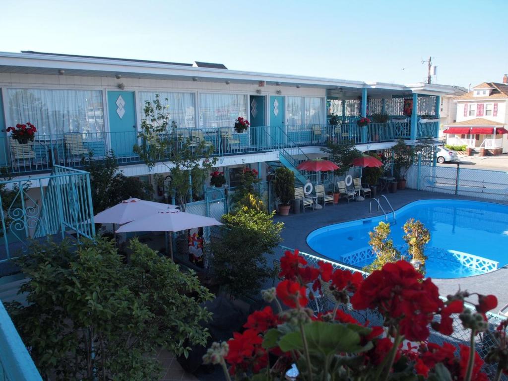 Suitcase Motel & Travel image