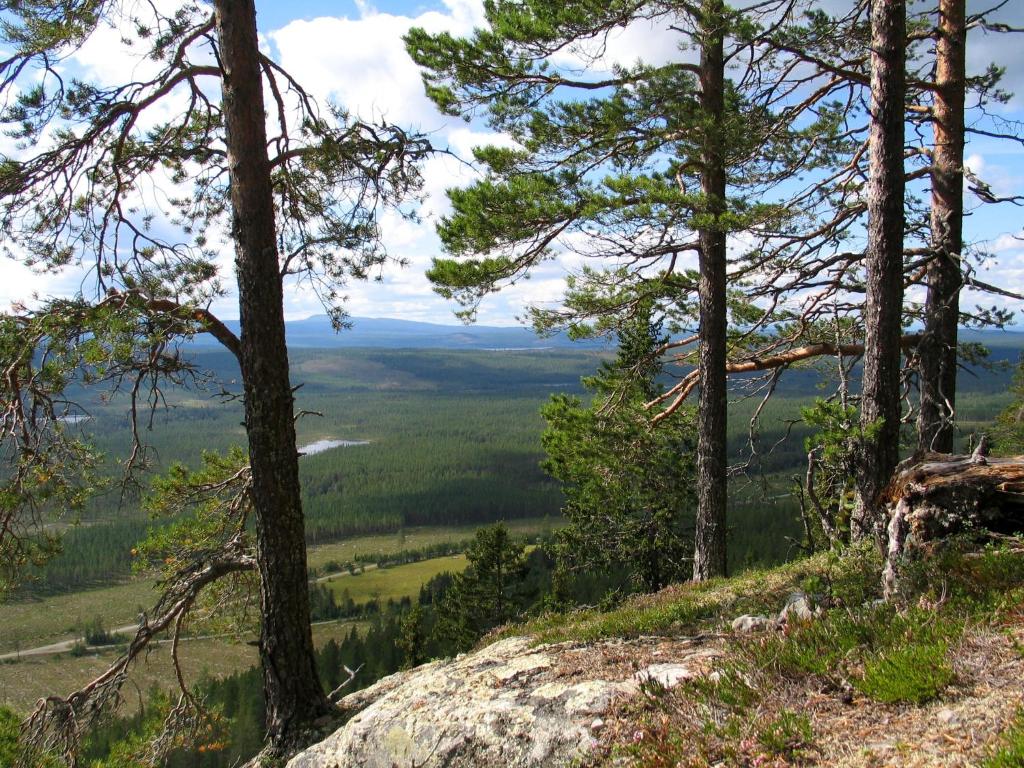 Galå Fjällgård photo 4