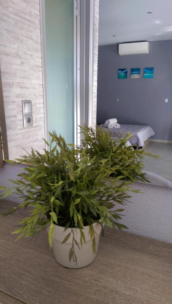 Aimilias Family Apartments photo 4
