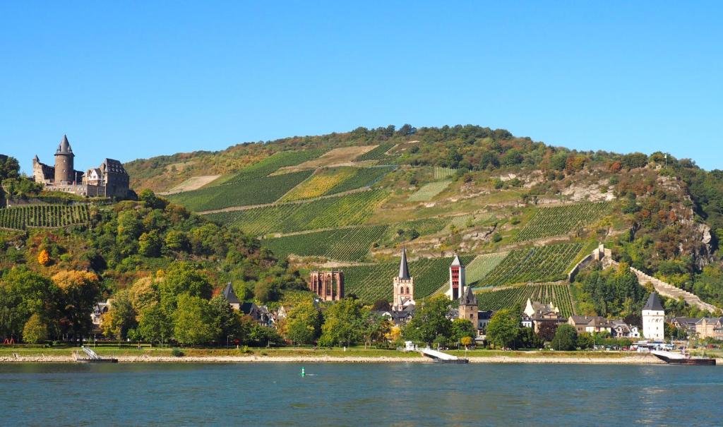 Gasthaus Weingut Stahl photo 4