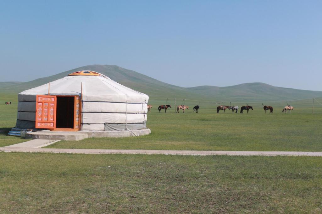 Nomad Horse Camp photo 3