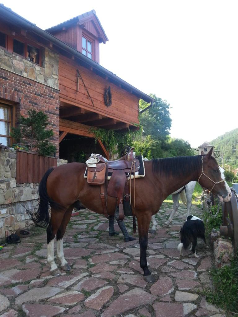 Ubytování Steak-Hredle photo 4