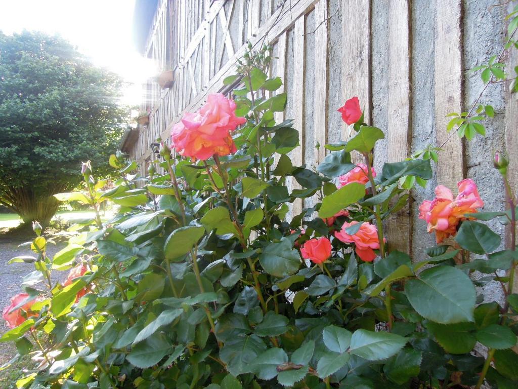 La Maison De Lalette photo 2