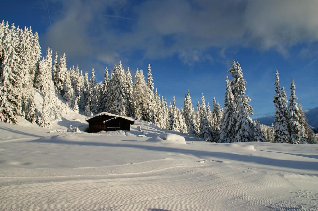Gasthaus Furlhütte photo 3