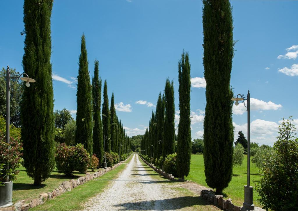 Casa Viale dei Cipressi photo 2
