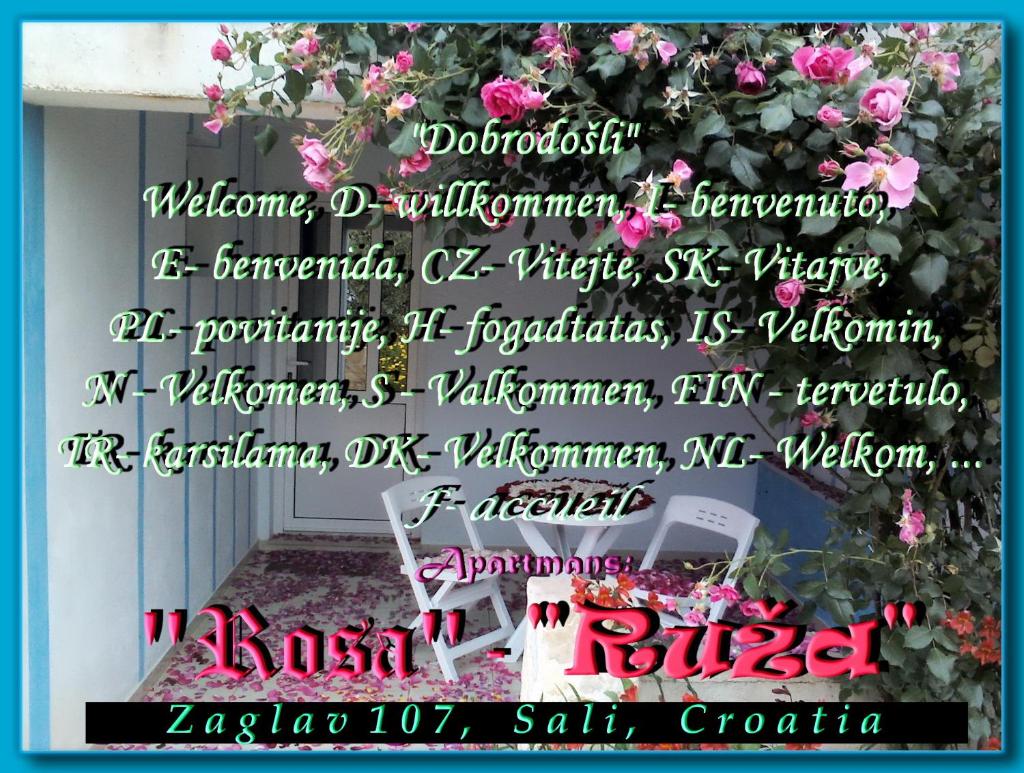 Apartment Ruza