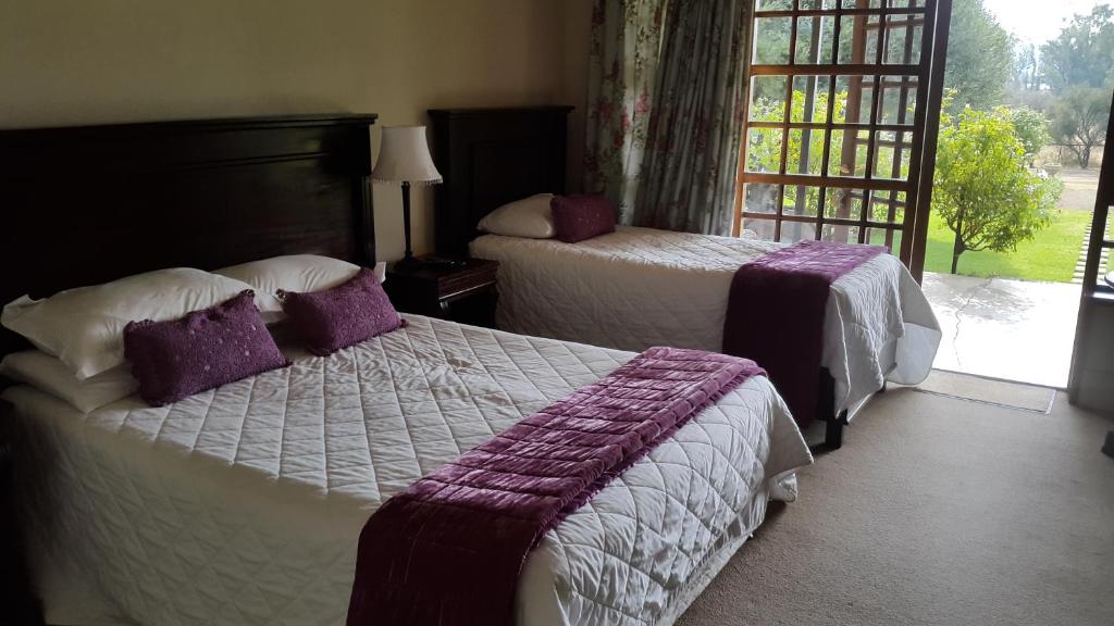 Olive Hill Country Lodge photo 2