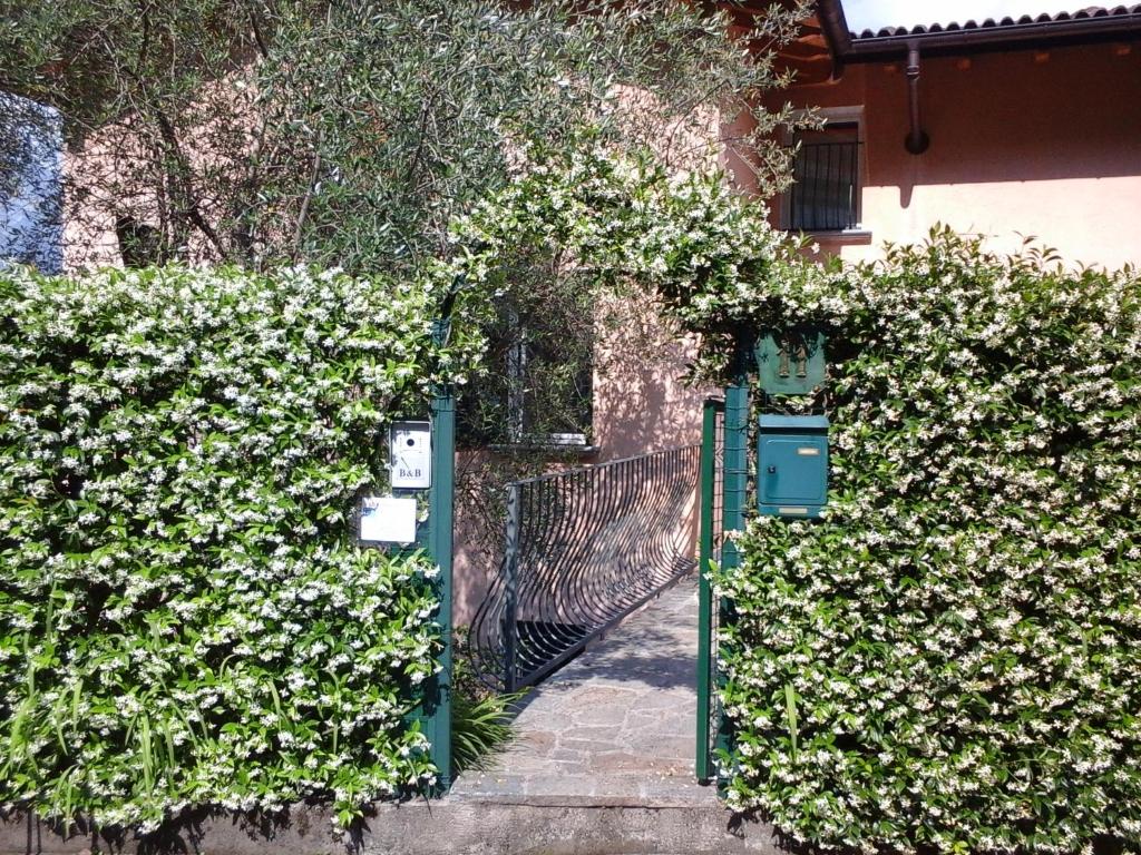 B&B L'erica photo 3