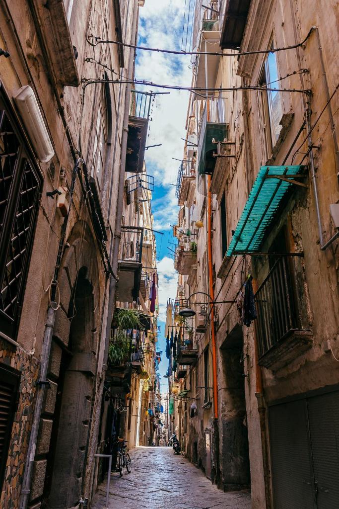 Lemon Tree Terrace - Tap to explore photos
