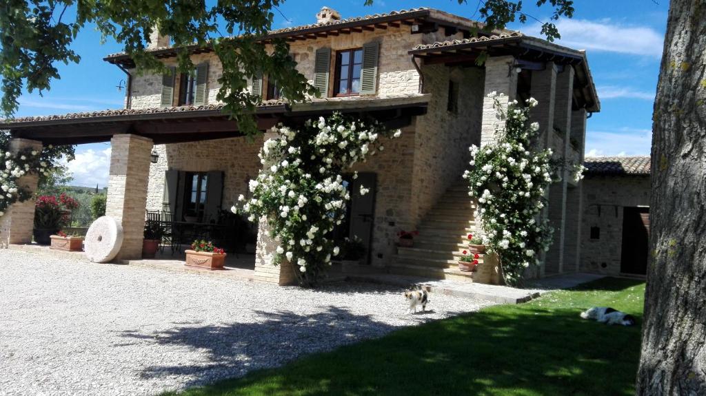 B&B Casa Laura photo 3