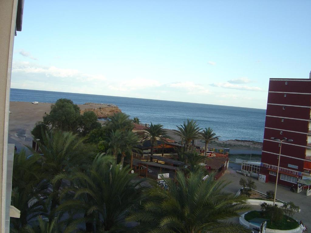Palmeral de Torrevieja photo 3