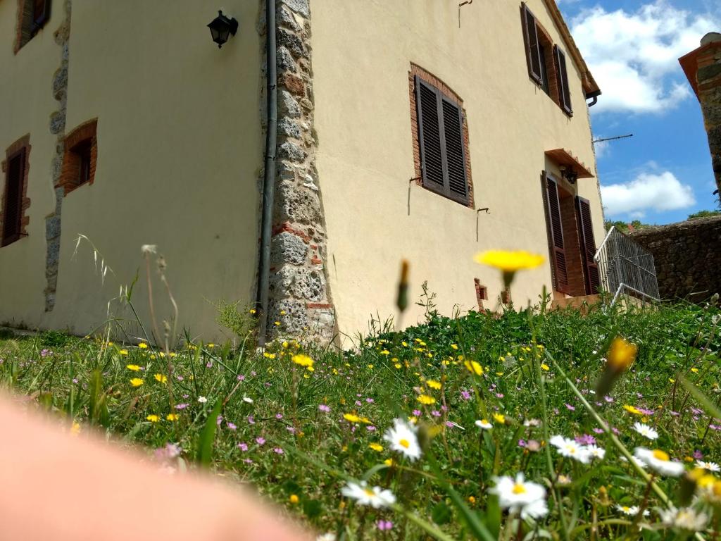 Podere Pancoli photo 3