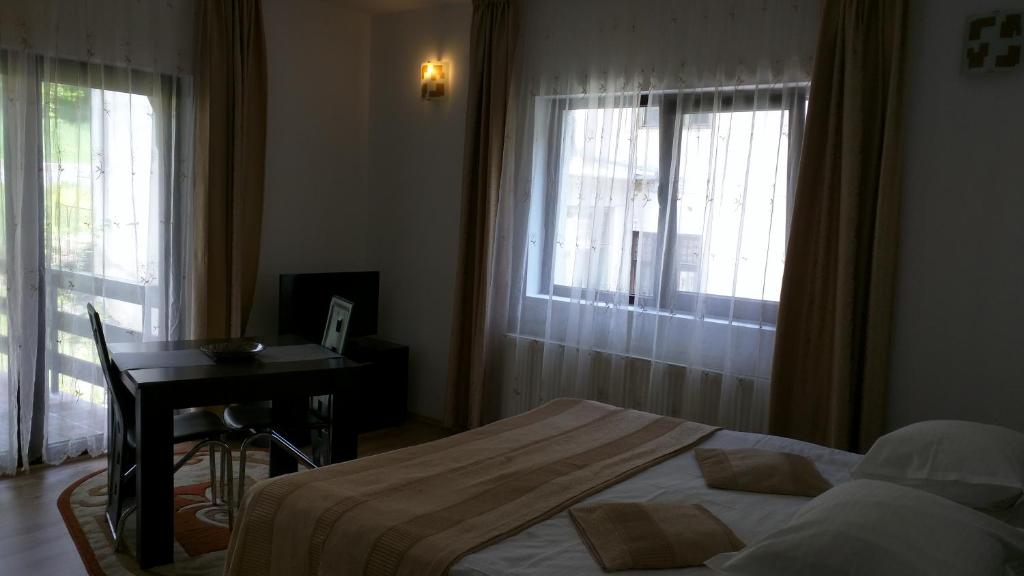 Студио (Номер-студио), Hotel Silvia Apart Sinaia