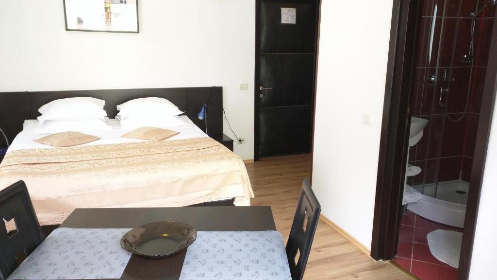 Студио (Номер-студио), Hotel Silvia Apart Sinaia