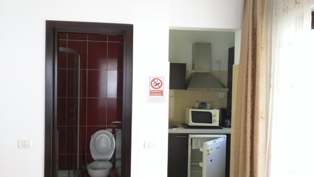 Студио (Номер-студио), Hotel Silvia Apart Sinaia