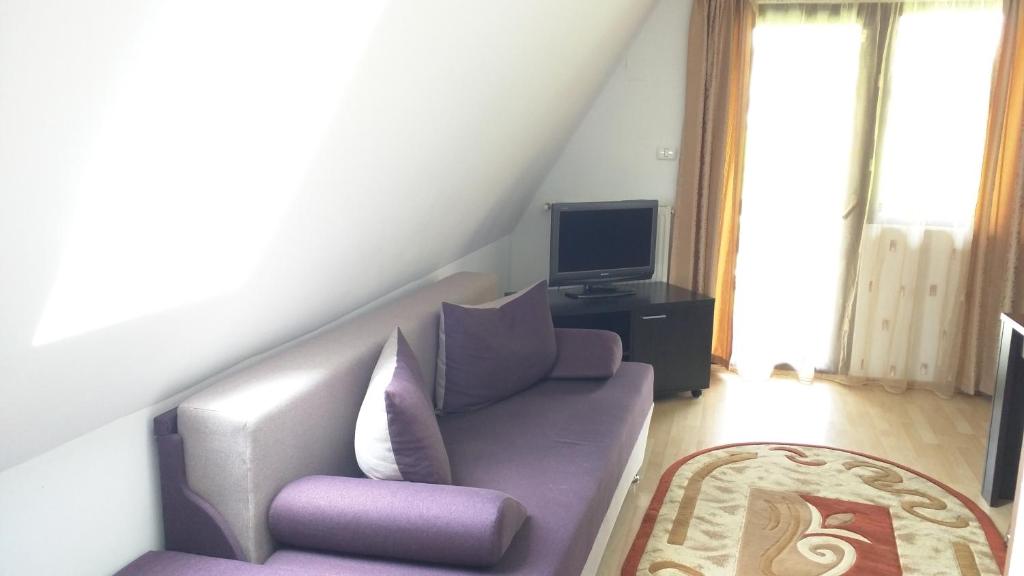 Апартаменты (Апартаменты с 2 спальнями), Hotel Silvia Apart Sinaia