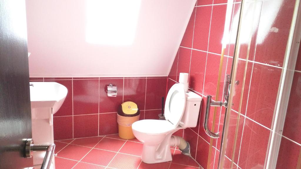 Апартаменты (Апартаменты с 2 спальнями), Hotel Silvia Apart Sinaia